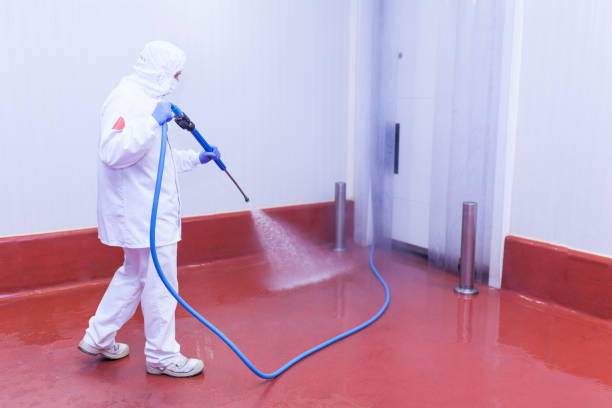 Boat and Dock Cleaning in Marsing, ID